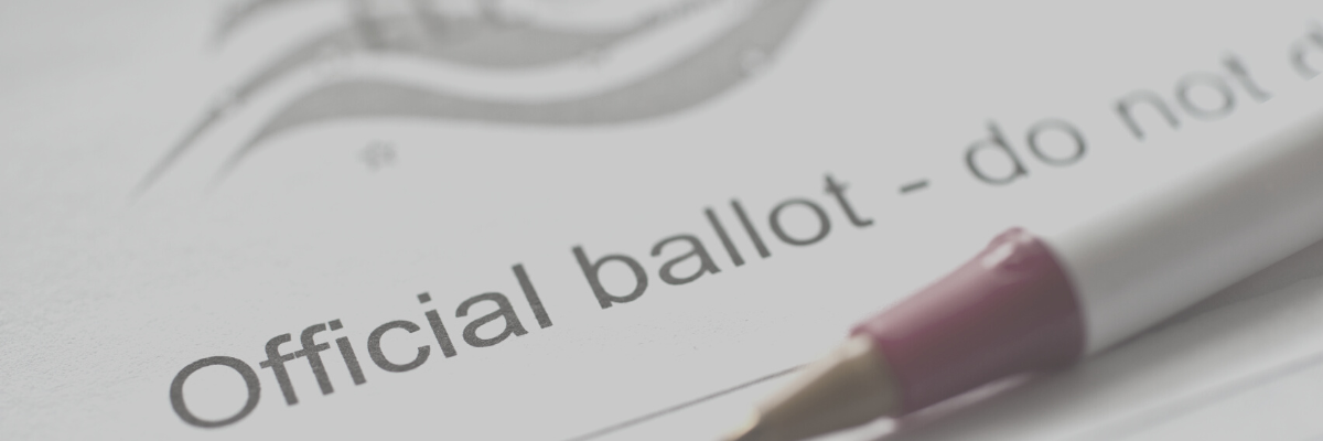 Make an Appointment to View Ballot Materials